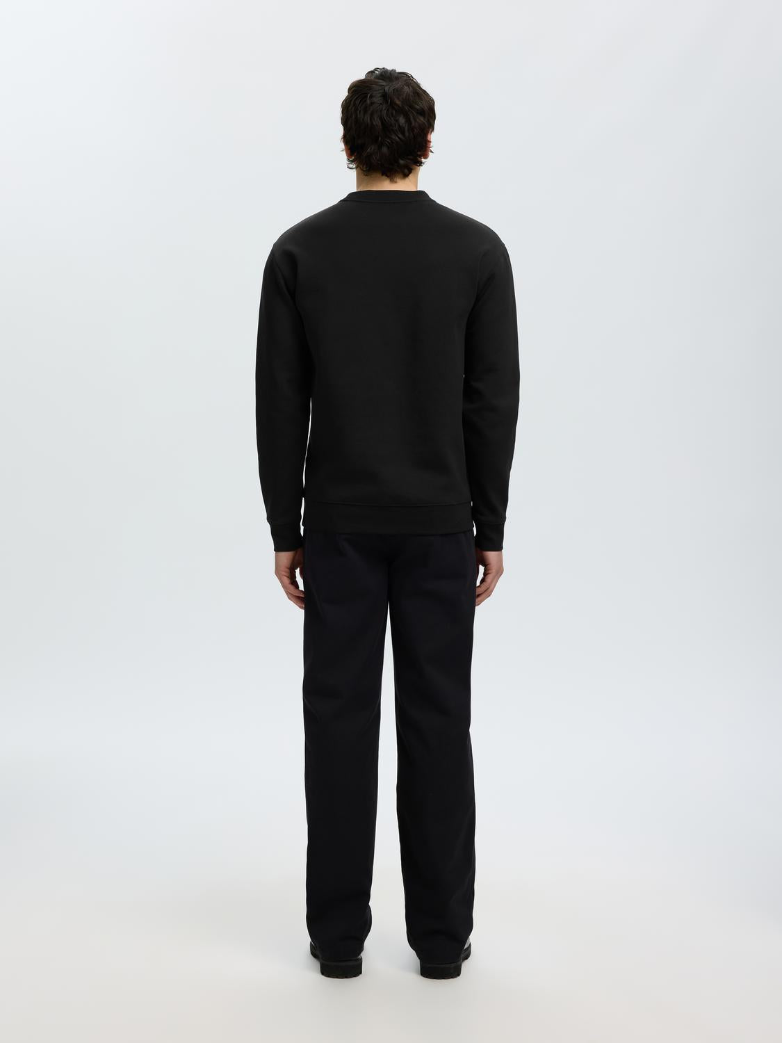 model_shot-back